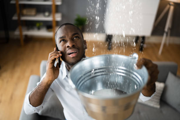 Best 24/7 water damage repair  in Homosassa, FL