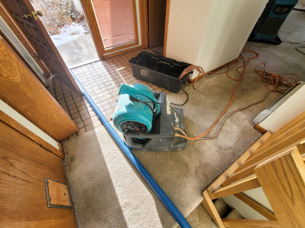 Water damage restoration process in Homosassa, FL