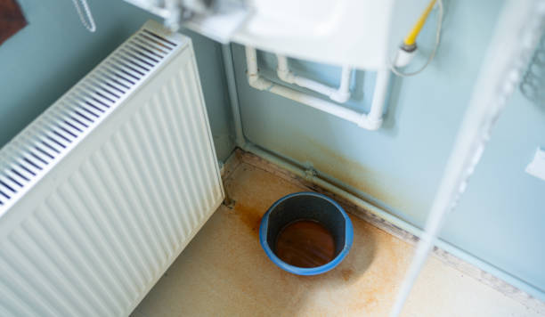 Best Water damage mitigation services  in Homosassa, FL